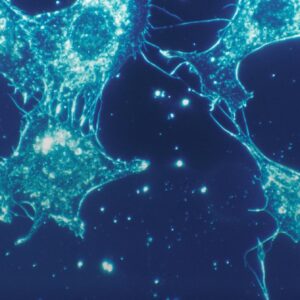 Energia- és kapcsolati tudatosság 5 napban – Kötcse